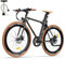 Fafrees F1 elektrisches Rennrad E-Bike Herren, Damen E Bike 25 km/h 250 W, EBike Stadtfahrrad mit Batterie 36 V 10Ah, elektrisches Fahrrad 40N.m, Stadtfahrrad Pedelec