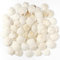 Jangostor 48 Pièces Coquillages de pétoncles Coquillages naturels, 3cm - 5cm Blanc Coquille de mer Petit Coquillage pour Mariage décoration Plage thème fête, réservoir de Poissons et Vase Remplissage