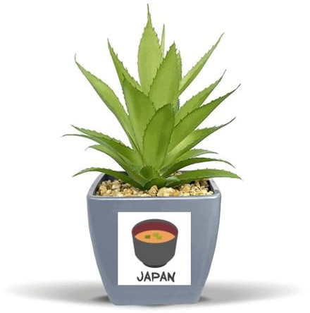 no/no Traditionelle japanische schmackhafte Miso-Suppe, künstliche Ananas, Blumentopf, Vase, Mini-Dekor