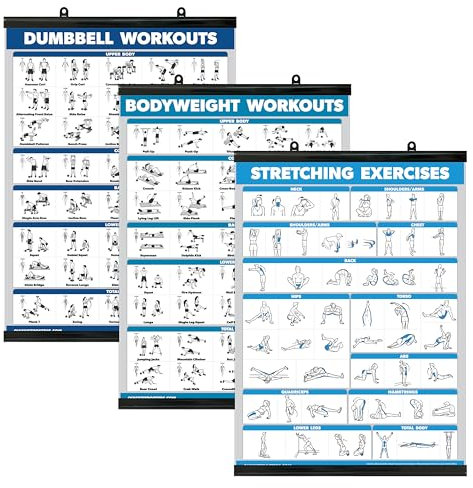 Palace Learning QuickFit Trainingsposter, Hanteltraining + Körpergewichtsübungen + Dehnroutine Poster-Set, 3er-Set (evtl. nicht in deutscher Sprache) (Laminiert mit Kunststoffrahmen, 45,7 x 61 cm)