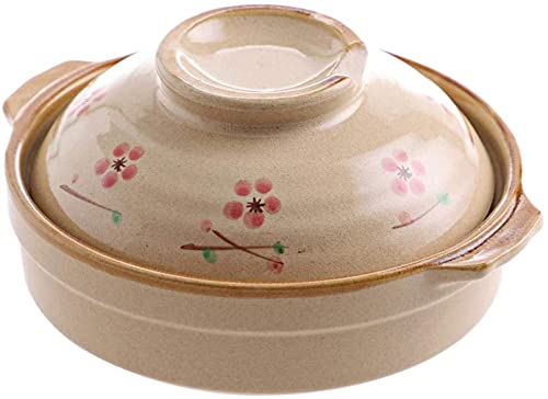 ZHEYANG Cocottes Pot à ragoût en Terre Cuite Casserole avec Couvercle et Couvercle Cocotte Induction