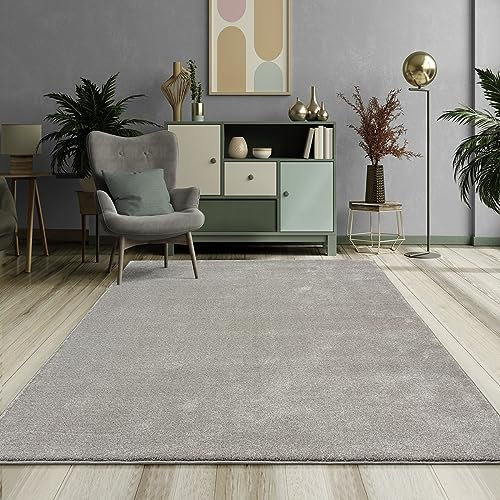 Mia's Teppiche Emely Moderner Weicher Kurzflor (17 mm) Wohnzimmer Teppich - Silber - 120x170 cm
