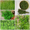 200 Pcs Estragon Pflanze Samen - Hochbeet Samen, Kräutergarten Balkon Kräutergarten Geschenk, Küchenkräuter Nachhaltige Geschenke, Gemüsepflanzen Kräuter Saatgut, Balkon Kräutergarten