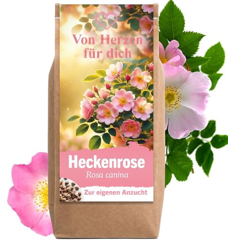 Geschenke für Frauen Geschenke für Männer Blumen Samen Anzuchtset Geburtstagsgeschenk für Frauen dankeschön geschenke Mutter tochter geschenk hochzeit geschenk für Freundin Heckenrose Blumen