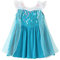 Lito Angels Prinzessin Elsa Kostüm Kleid für Kleinkind Mädchen, Eiskönigin Verkleidung Casual Sommerkleid, Größe 18-24 Monate 92