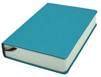 Earnmore A5 Blanko-Notizbuch, fester Ledereinband, Tagebuch, dickes Skizzenbuch, 660 Seiten 80 g/m² für Skizzieren und Schreiben, einfarbiges Notizbuch