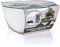 NADIR Bonsai Set Anzuchtset Bonsai Starter Kit Bonsai Tree Baum zum Verschenken Geburtstagsgeschenk-Bonsai Porzellan Schale aus Deutschland Samen + Keramik + Lavasteine + Erde + Broschüre (Pinie)