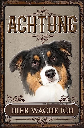 30 x 20 cm wetterfestes Blechschild, Warnhinweis, Torschild, Achtung, hier Wache ich! Warnung vor dem Hund (Australian Shepherd)