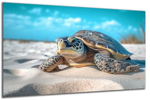 DARO Design - Wand-Bild auf 6mm HDF 70x50 cm Schildkröte Land - Wand-Deko Bilder Geschenk