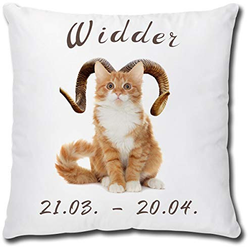 TRIOSK Kissen mit Katze Katzenmotiv Sternzeichen Widder Spruch lustig Katzen Geschenk für Katzenliebhaber Frauen Freundin Dekokissen 40x40