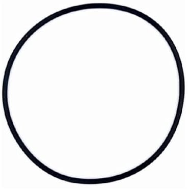 OKU Obermaier O-Ring für Schlauchtülle für SPS Pumpen