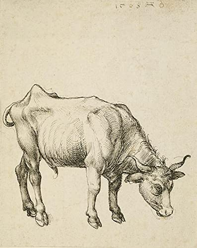 DTAUPREB Junge Kuh - Malen nach Zahlen für Erwachsene - Albrecht Dürer - DIY Ölgemälde Kits Leinwand Geschenk