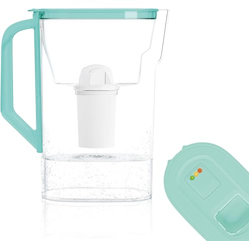 Wessper Carafe filtrante 2,7l, carafes filtrantes avec compteur LED, carafe d'eau filtre avec filtre classique, carafe eau pour porte de réfrigérateur, sans BPA -Menthe