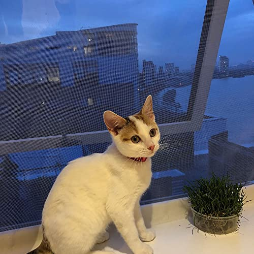 Flat Cats Window Protection for Cats Standard THREE Pack (White Mesh/White Fixings, 30 x 42)