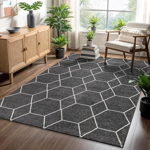 SANAT Wohnzimmerteppich – Pflegeleicht, für jeden Raum geeignet – Öko-Tex zertifizierter Flächenteppich – Trellis Muster, DunkelGrau, 200 x 290 cm