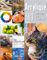 Acrylique: 300 techniques, trucs et astuces