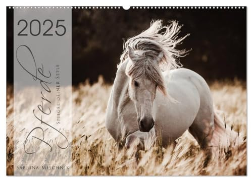 Spiegel deiner Seele (Wandkalender 2025 DIN A2 quer), CALVENDO Monatskalender