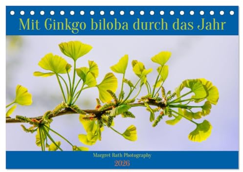 Mit Ginkgo biloba durch das Jahr (Tischkalender 2026 DIN A5 quer), CALVENDO Monatskalender: Mit seinen einzigartigen, fächerförmigen Blättern ist der ... und Gärten eine Augenweide. (CALVENDO Natur)