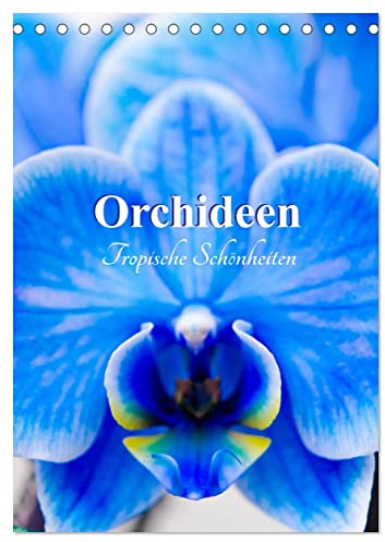 Orchideen - Tropische Schönheiten (Tischkalender 2026 DIN A5 hoch), CALVENDO Monatskalender: Orchideen - die Königinnen der Blumen. (CALVENDO Lifestyle)