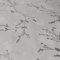 MadeInNature Wall Stickers Deco Wall GEBÜHREN ** ** 2 Star Boards News Bilder