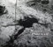 Stanley Greene: Plaie A Vif (French edition): Tchetchenie 1994 - 2003