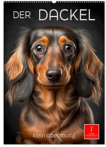 Der Dackel - klein aber mutig (Wandkalender 2025 DIN A2 hoch), CALVENDO Monatskalender