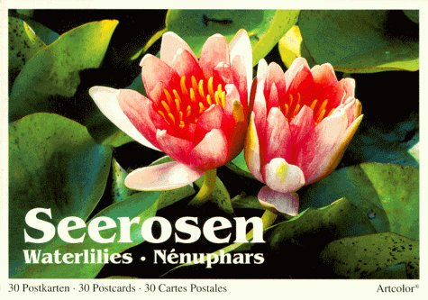 Seerosen. 30 Postkarten /30 Postcards /30 Cartes Postales