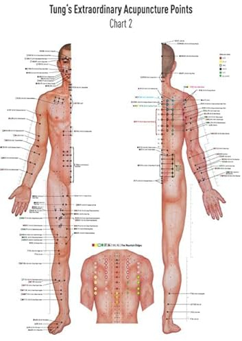 Akupunkturtafel Chart 2 TUNG's Extraordinary Acupuncture Points on the regular channels