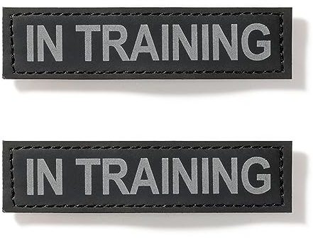 EXCELLENT ELITE SPANKER 2 Stücke Klettverschluss Diensthund Patch Persönlichkeit Dekoration für Hundegeschirre & Westen(IN Training)