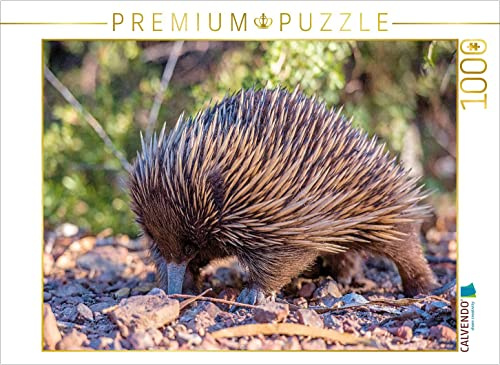 CALVENDO Puzzle Ameisenigel | 1000 Teile Lege-Größe 64 x 48 cm Foto-Puzzle für glückliche Stunden