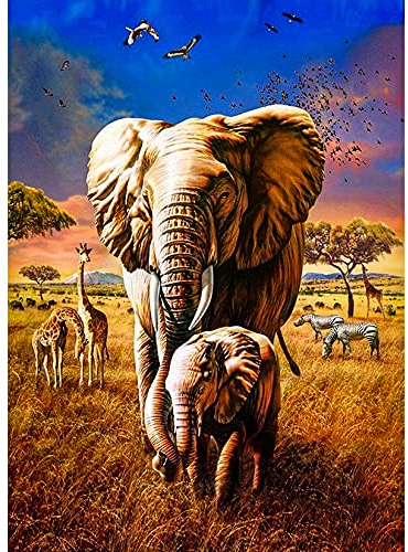 XiangJunly 5D DIY Diamond Art Painting Kits Vollbohrer, Geschenk, weißes Pferd, Strass-Kristall, Diamant, Leinwandgemälde, Bilder, digitale Malerei für Erwachsene und Kinder