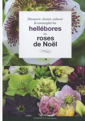 Hellébores: Roses de Noël