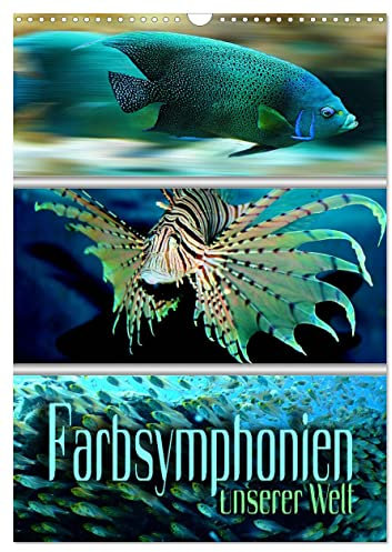 Farbsymphonien unserer Welt (Wandkalender 2025 DIN A3 hoch), CALVENDO Monatskalender: Stimmungsvolle Collagen in faszinierenden Farbkombinationen (CALVENDO Natur)