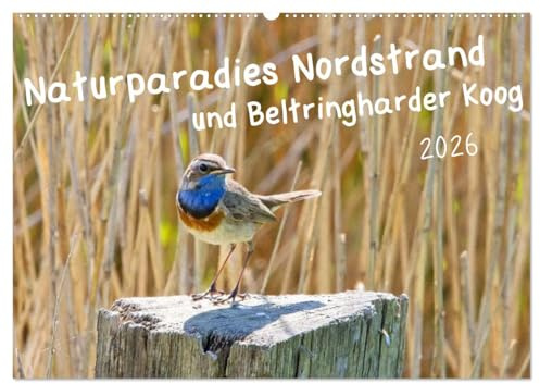 Naturparadies Nordstrand und Beltringharder Koog (Wandkalender 2026 DIN A2 quer), CALVENDO Monatskalender: Nordstrand und der Beltringharder Koog sind ... und anderen Tieren. (CALVENDO Natur)