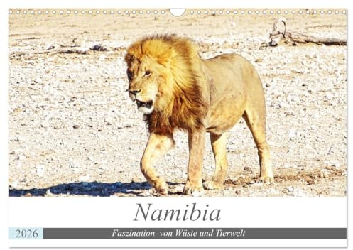 Namibia, Faszination Wüste und Tierwelt (Wandkalender 2026 DIN A3 quer), CALVENDO Monatskalender: Safari durch die Wüste Namibias (CALVENDO Natur)