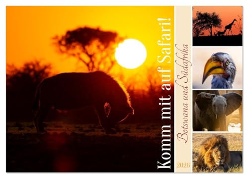 Komm mit auf Safari! Botswana und Südafrika (Wandkalender 2026 DIN A3 quer), CALVENDO Monatskalender: Safari-Feeling fürs ganze Jahr! (CALVENDO Tiere)