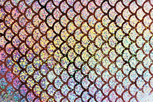 Tigofly 6 Stück 6 Farben 10 x 21 cm Holografischer Film Flash Laser künstliche Fischhaut DIY Jig Aufkleber Köder Aufkleber Fliegenbinden Materialien (sortiert je 1 Stück)