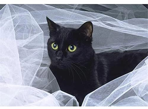5D Diamond Painting, Hochzeit Schwarze Katze 20x30cm DIY 5D Diamant Painting Bilder Kinder Erwachsene groß, Diamond Painting Set Diamant Malerei Kits Mosaikherstellung für Home Wand Décor Geschenk