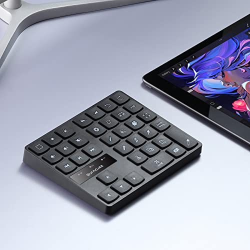 SurnQiee Bluetooth Keypad for iPad Procreate, Wireless Rechargeable Keyboard for Procreate, and Drawing Shortcuts for iPad and Graphic Tablets (Black)
