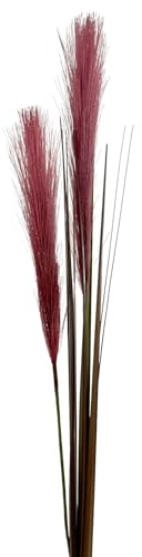 Floratexx Künstliches Lampenputzergras 80 cm Burgund. Künstliches Gras Pampasgras Dekogras Dekoration für Wohnzimmer, 12146 20