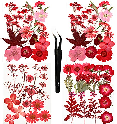 Sieman 64 Stück Rot Getrocknete Blumen Natürliche Gepresste Getrocknete Blumen für Harz, DIY Kerzen, Anhänger, Handyhüllen, Fotorahmen, Bath Bombs (Stil 3/64 Stück)