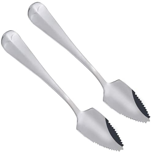 UKD Cuillères à Fruits en Acier Inoxydable avec Bord Dentelé à Long Manche Pamplemousse et Cuillère à Dessert - 2 Pièces