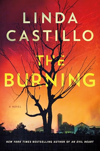 The Burning: A Novel: 16 (Kate Burkholder)