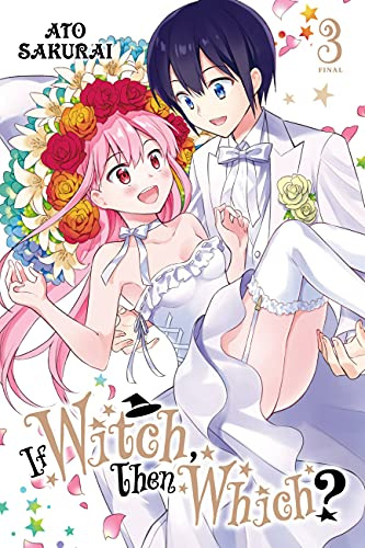 If Witch, Then Which?, Vol. 3 (IF WITCH THEN WITCH GN)