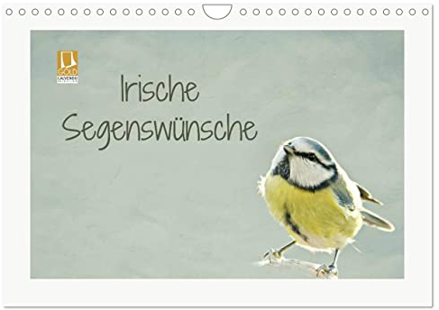 Irische Segenswünsche (Wandkalender 2025 DIN A4 quer), CALVENDO Monatskalender: Glücklich durch das ganze Jahr (CALVENDO Tiere)