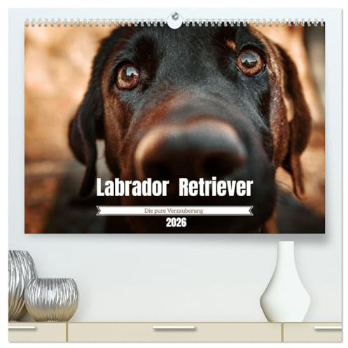 Verzauberung Labrador Retriever 2026 (hochwertiger Premium Wandkalender 2026 DIN A2 quer), Kunstdruck in Hochglanz