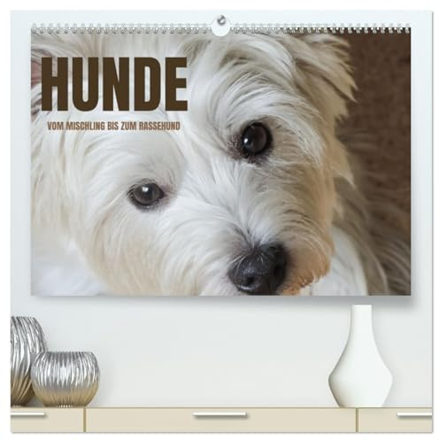 Hunde - vom Mischling bis zum Rassehund (hochwertiger Premium Wandkalender 2026 DIN A2 quer), Kunstdruck in Hochglanz: Ein Fotokalender mit ... ob Rassehund oder Mischling. (CALVENDO Tiere)