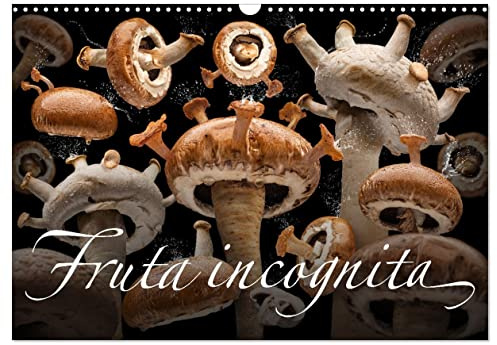 Fruta incognita - Die wundersame Welt des Fotografen Olaf Bruhn (Wandkalender 2026 DIN A3 quer), CALVENDO Monatskalender: Einer der wohl ... Olaf Bruhn. (CALVENDO Lifestyle)