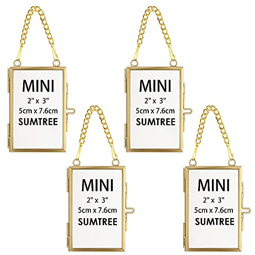 SUMTree 4 Pcs Mini-Rechteck Bilderrahmen aus Metall und Glas,Hängende Glas Fotorahmen,Geometrische Ornament Pflanze Probe Clip,Für gepresste Blumen,Fotos(Golden)
