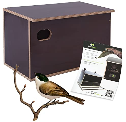 Nistkasten für Mauersegler, Vögel, aus Massivem